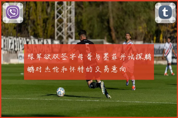 绿军欲双签字母哥与墨菲并试探鹈鹕对杰伦和怀特的交易意向
