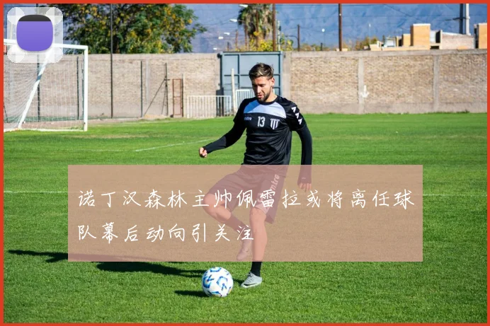 诺丁汉森林主帅佩雷拉或将离任球队幕后动向引关注